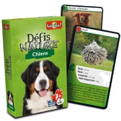 Défis Nature : Chiens