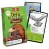 Défis Nature : Rapaces -Boutique De Jeux defis nature rapaces