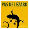 Pas De Lézard