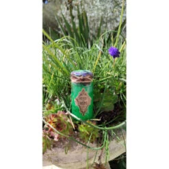 Potion De Hasard Verte - 2 Dé 10