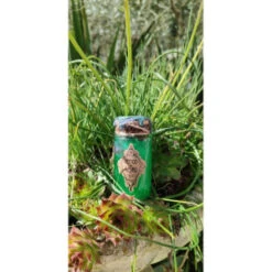 Potion De Hasard Verte - 2 Dé 6