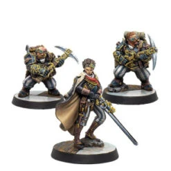 Warcrow - Beyond Winds From The North (FR) -Boutique De Jeux warcrow beyond winds from the north fr 2